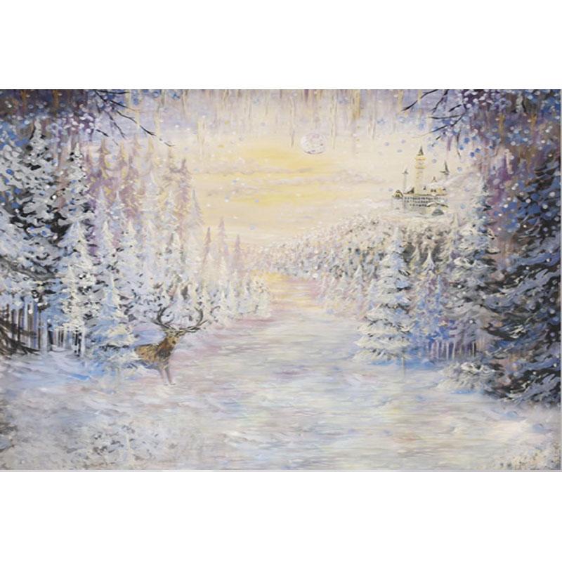 Winter Snow Christmas Newborn Children Photography Backdrop G-907