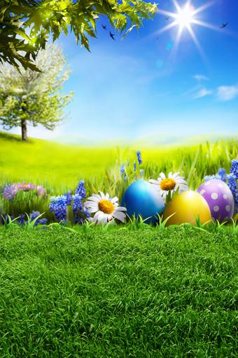 Happy Easter Spring Green Grass Photo Booth Backdrop GE-040