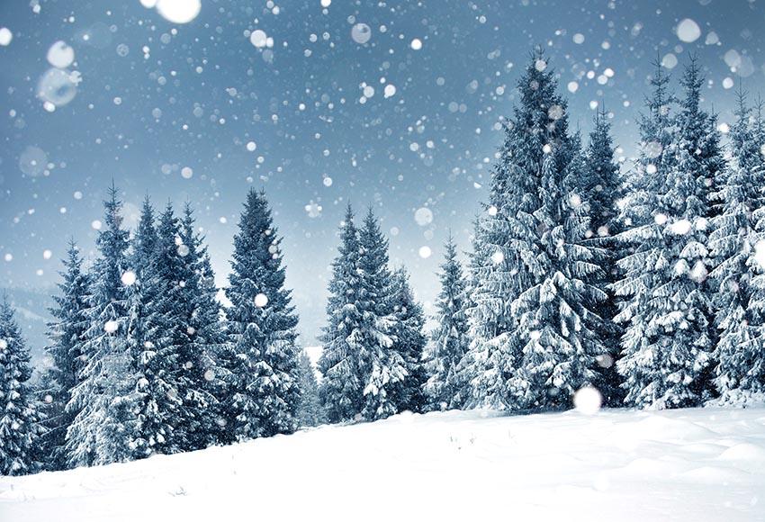 Winter Snow Christmas Trees backdrop UK for Photography GX-1077