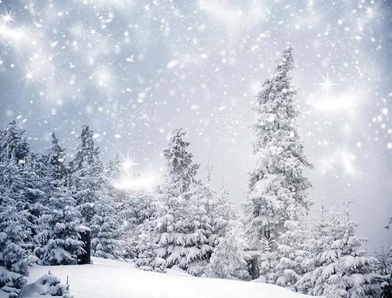 Winter Snow Forest Christmas Photography Backdrop KAT-16