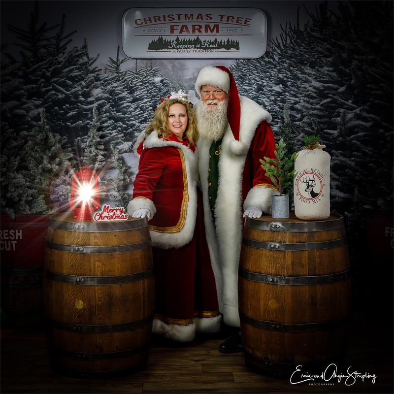 Winter Christams Tree Snow Backdrop KAT-26