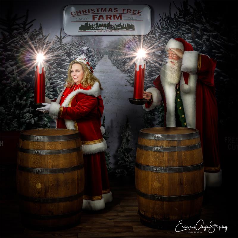 Winter Christams Tree Snow Backdrop KAT-26