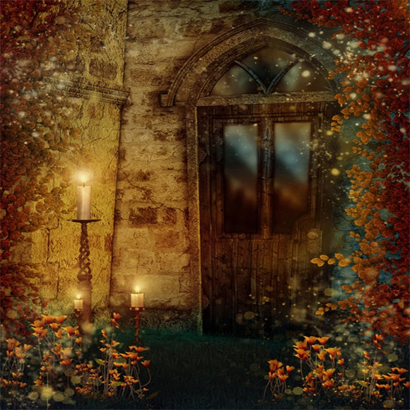 Old Vintage Door With Vines Backdrop for Photography