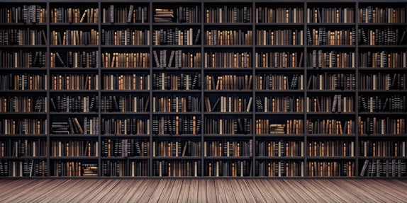 Back to School Library Bookshelves Backdrop for Photography