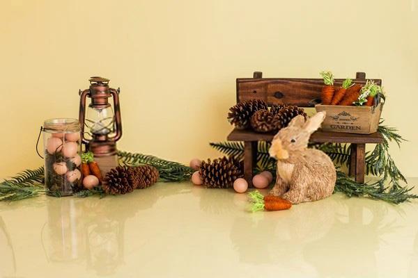 Easter Eggs Rabbit Photo Studio Backdrop SH599