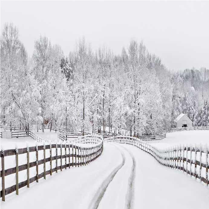 Winter Snow Road Forest backdrop UK for Photo Booth ST-439