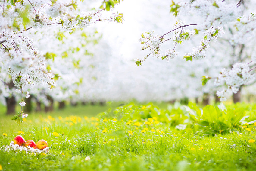 Spring White Flowers Green Grass Photo Booth backdrop UK S-3101