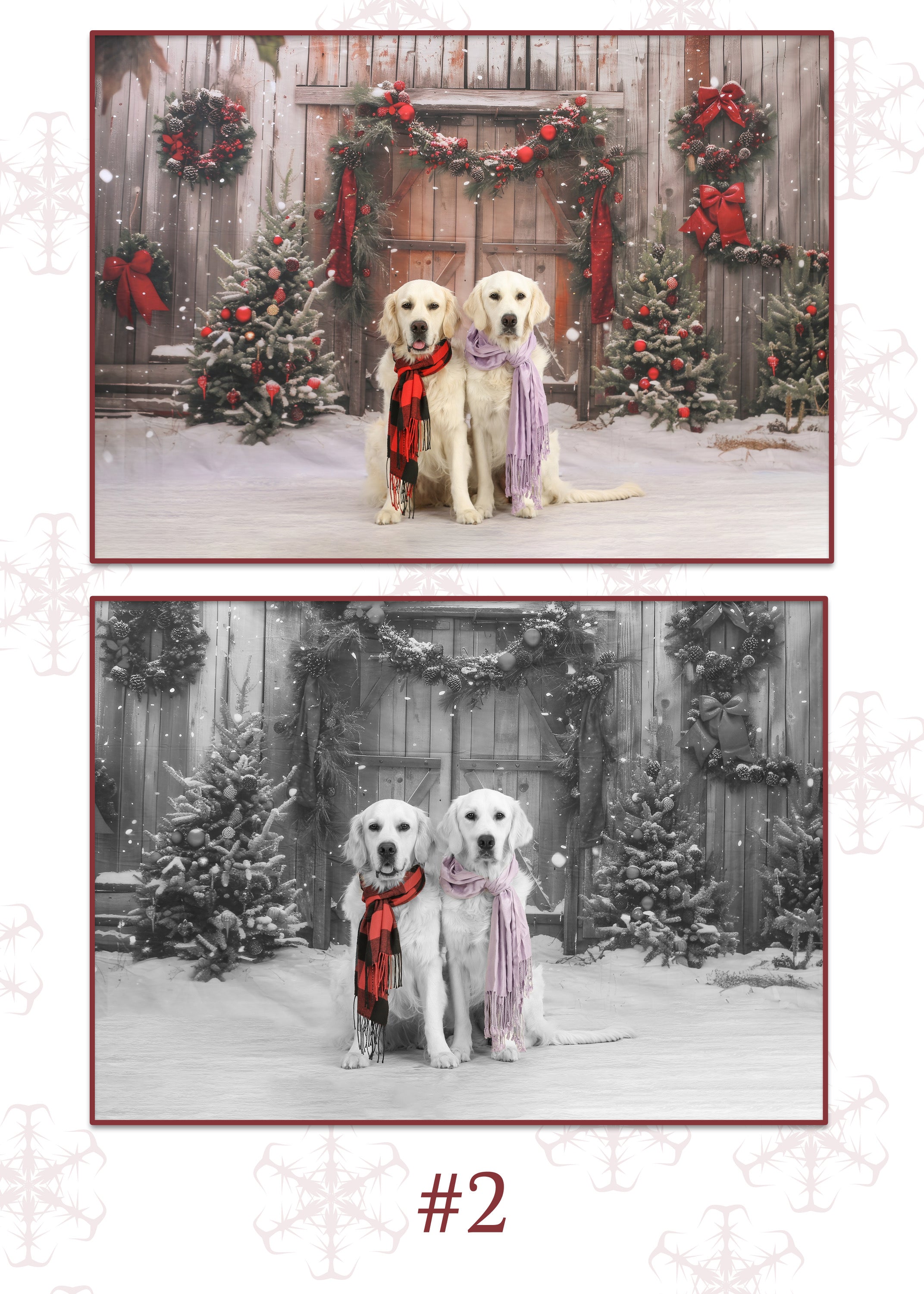 Christmas Cozy White Porch Backdrop UK RR8-201