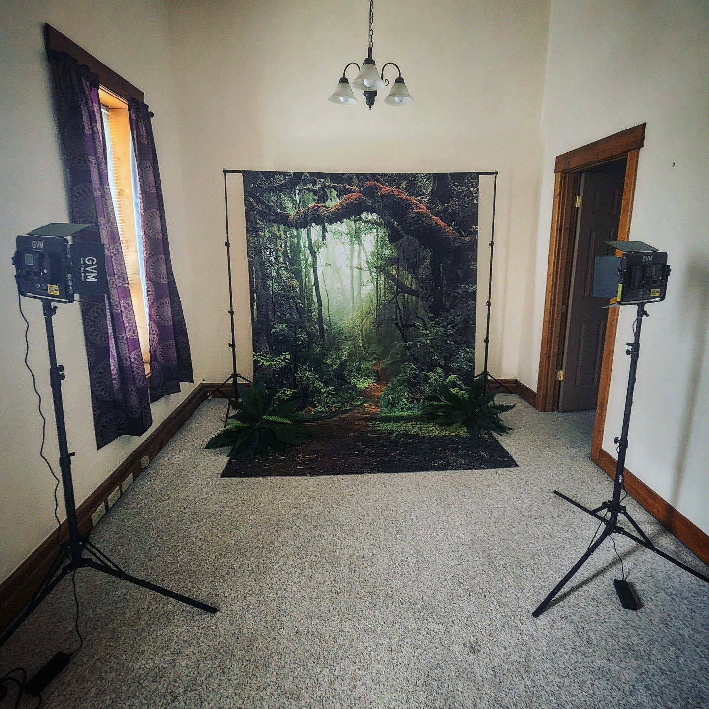 Forest Big Tree Road Photography backdrop UK G-477