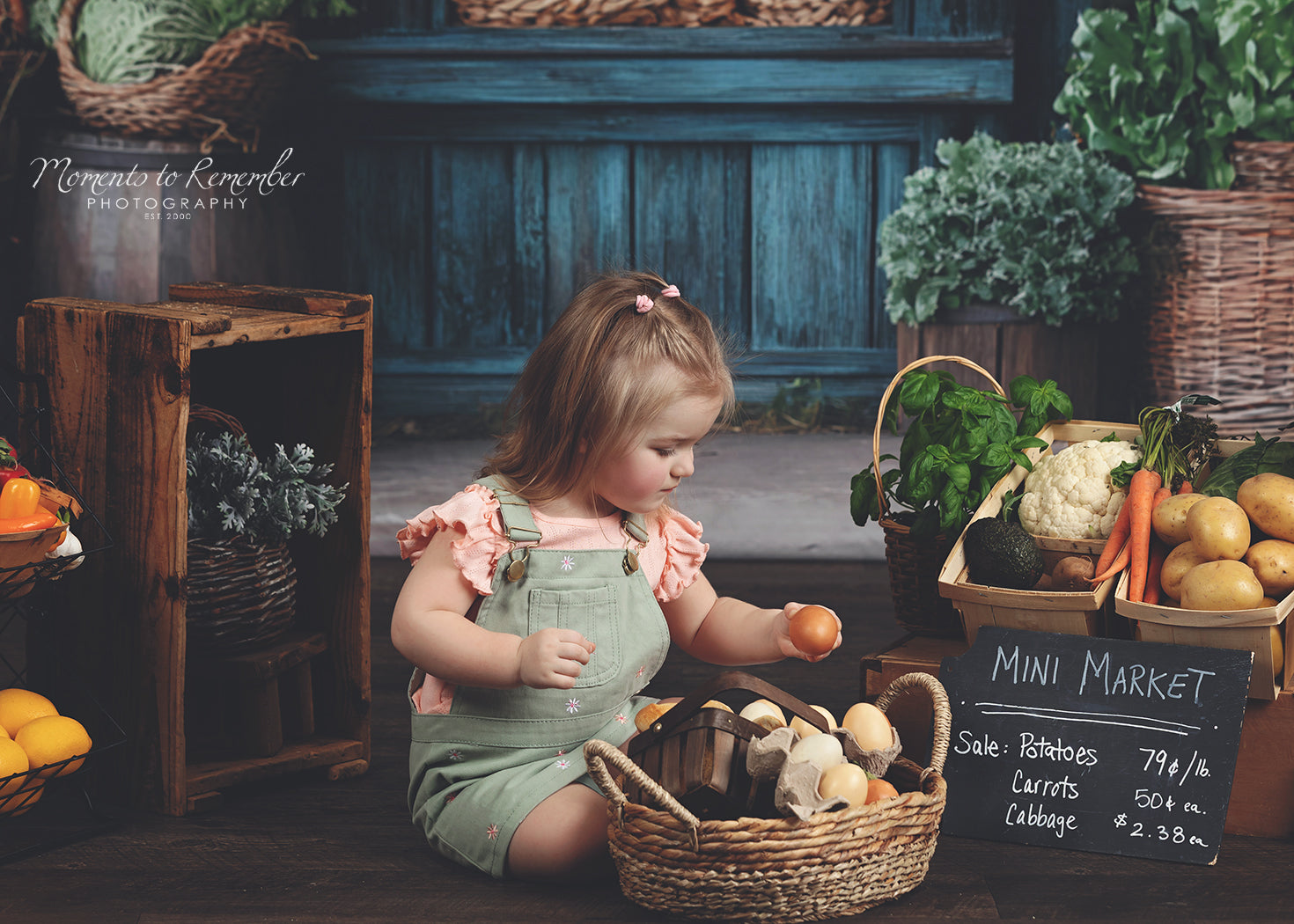 Spring Photography Backdrop Rustic Grocer Farm Window Backdrop UK LXX1-153