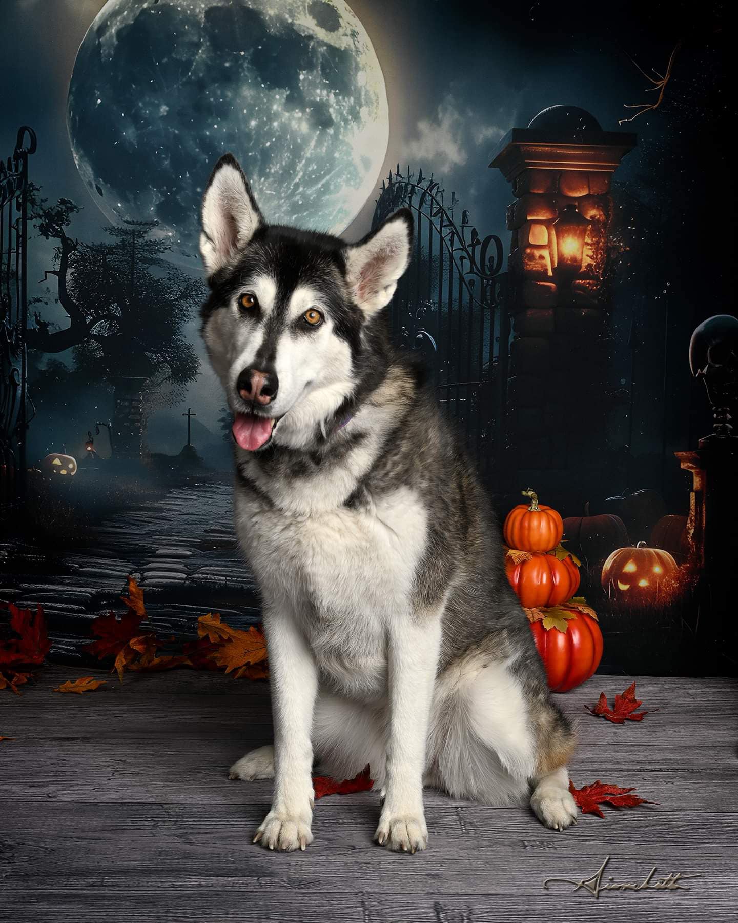 Halloween Dark Graveyard Gate Skeleton Backdrop UK RR7-455