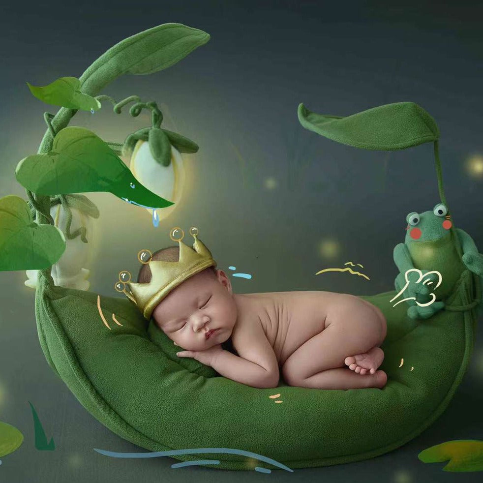 Newborn baby photography props frog little prince theme clothes ＆ pillow SYPJ12