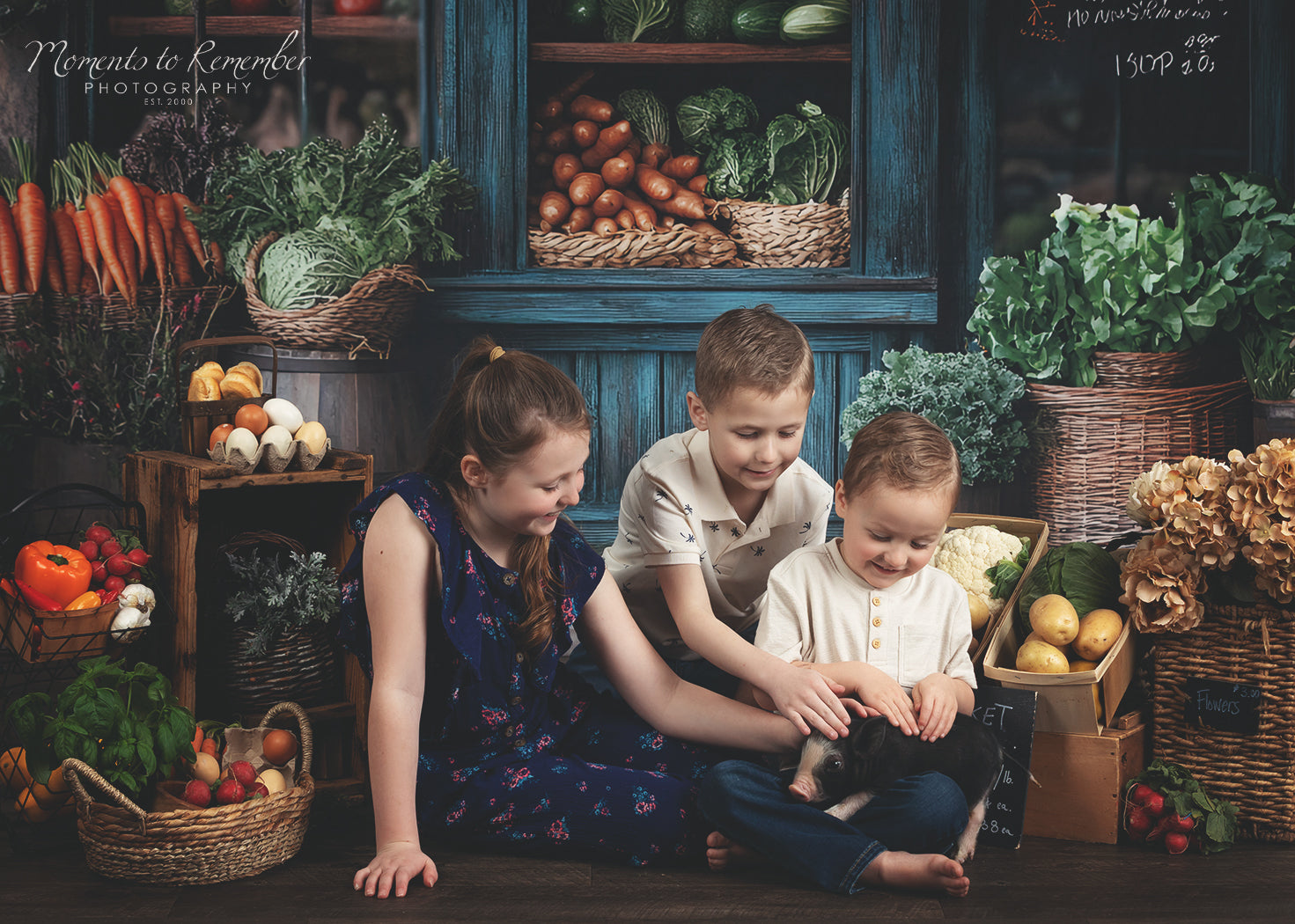 Spring Photography Backdrop Rustic Grocer Farm Window Backdrop UK LXX1-153