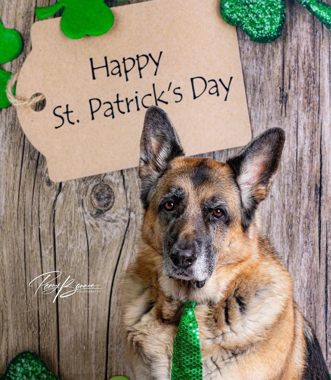 Happy St. Patrick's Day Wood Clover backdrop UK G7