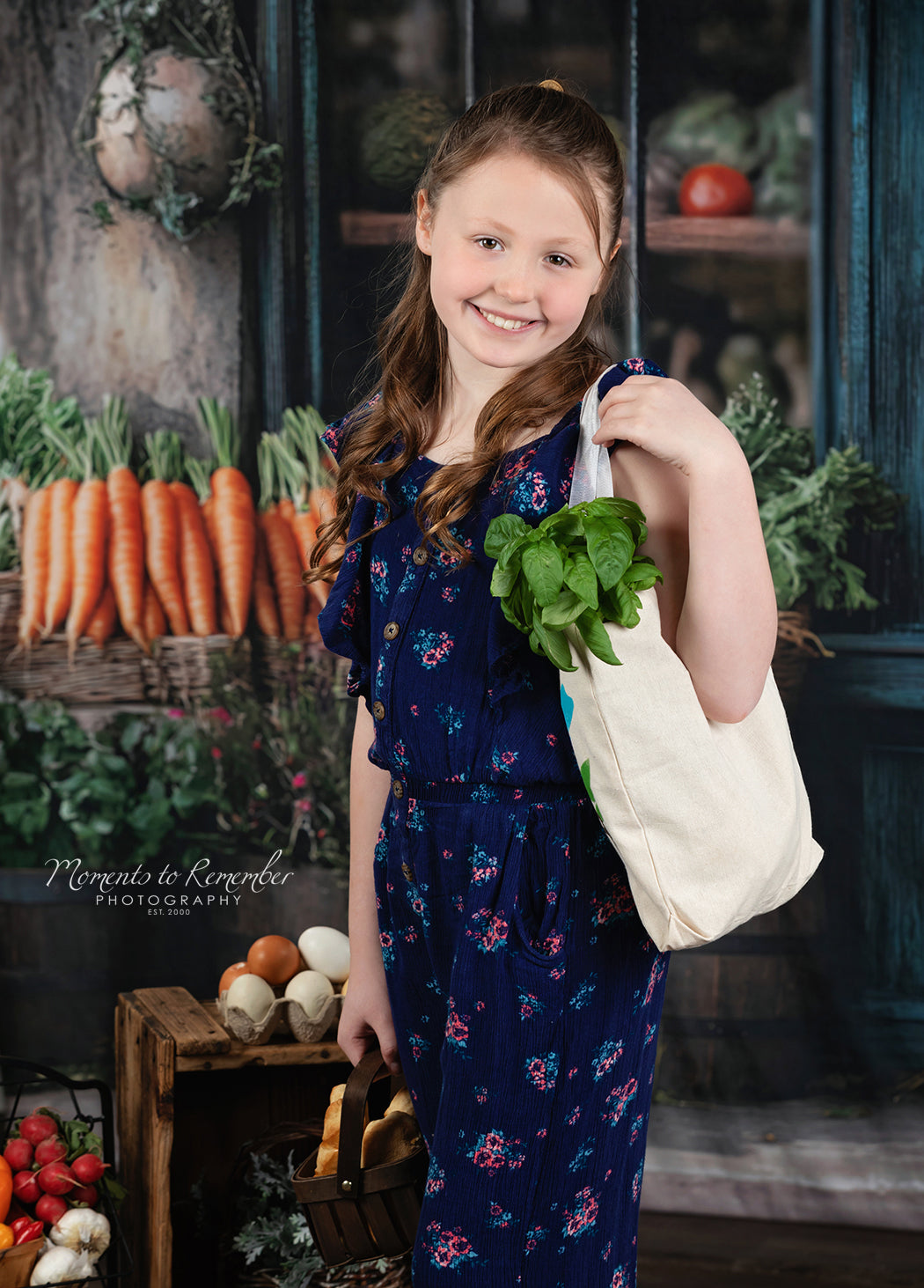 Spring Photography Backdrop Rustic Grocer Farm Window Backdrop UK LXX1-153