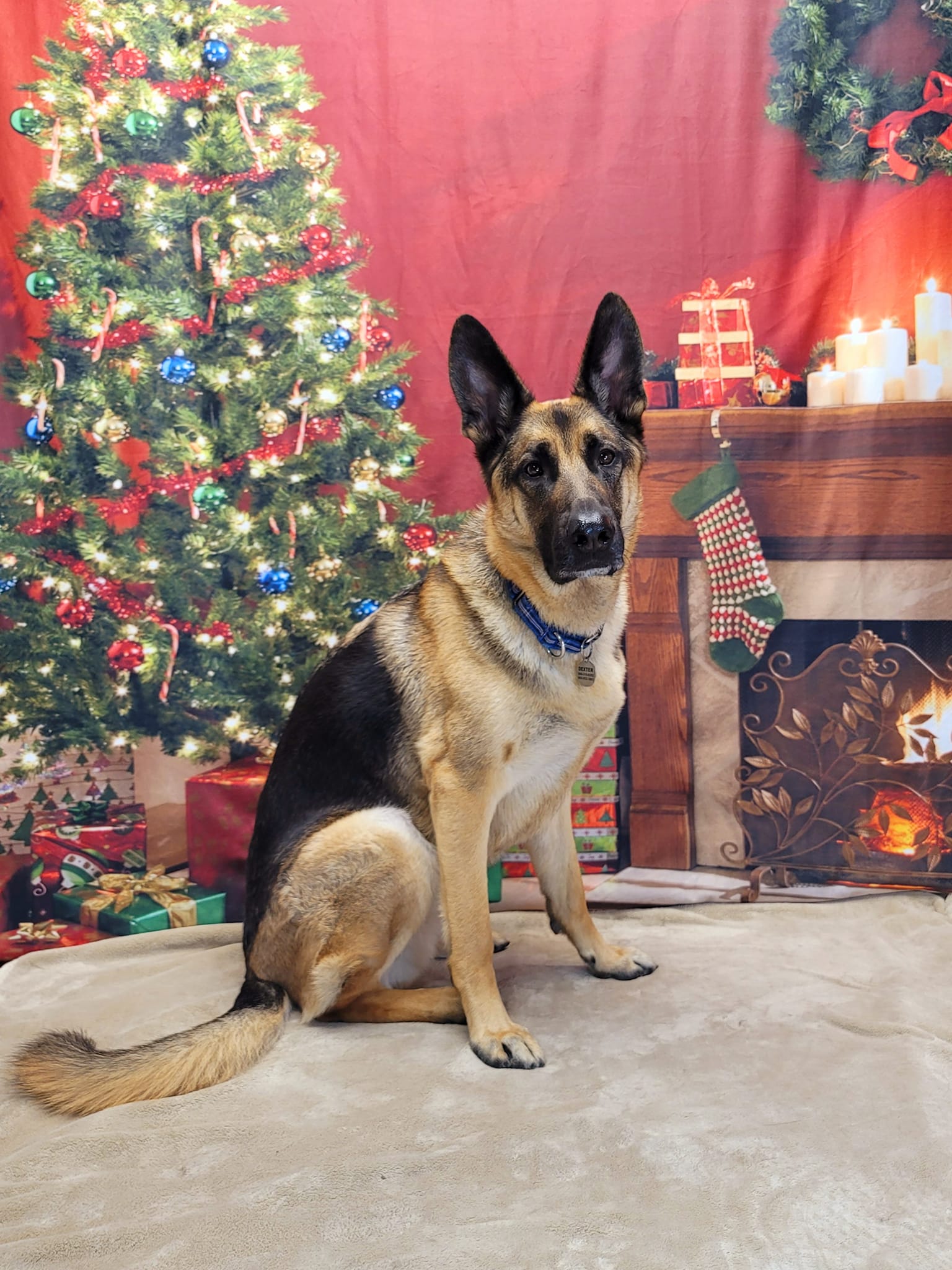 Christmas Tree Garland Wall Fireplace Backdrop UK KAT-106