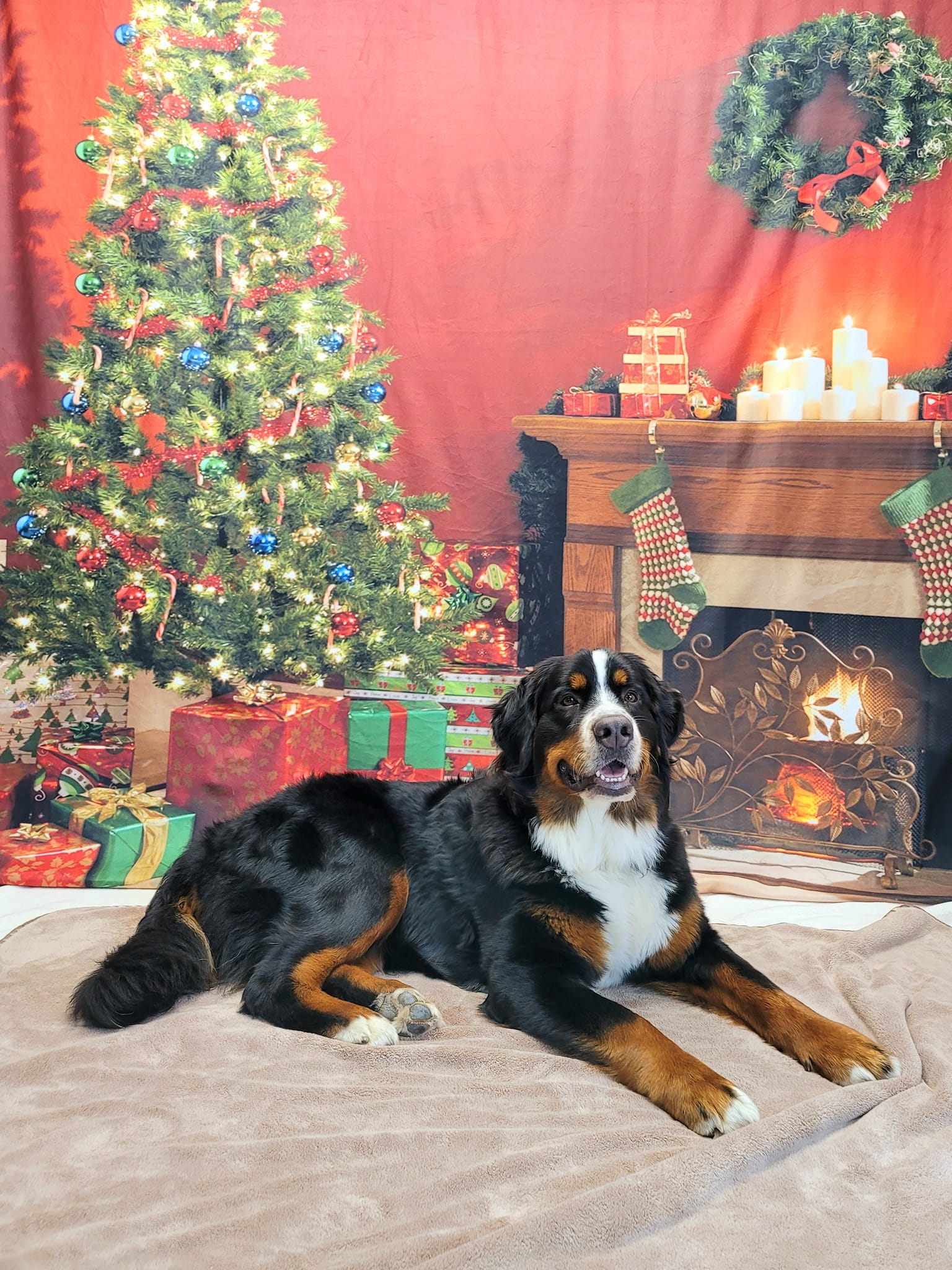 Christmas Tree Garland Wall Fireplace Backdrop UK KAT-106