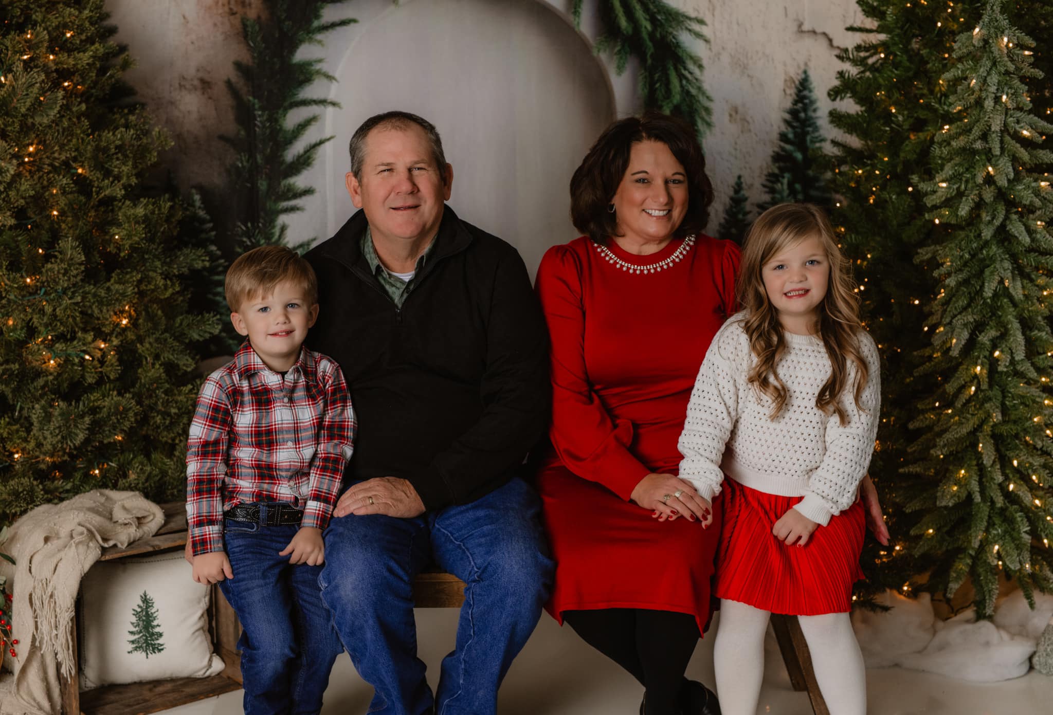 Christmas Tree Arch Photography Backdrop UK RR8-347