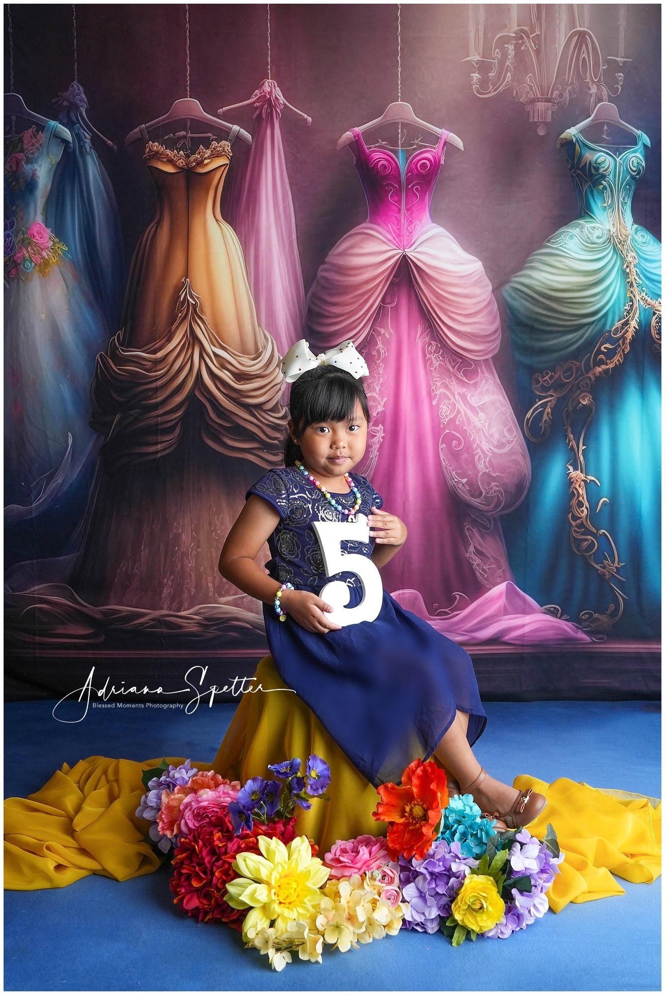 Vintage Backdrop Princess Dresses Elegant Closet Retro Backdrop UK MRR10-58