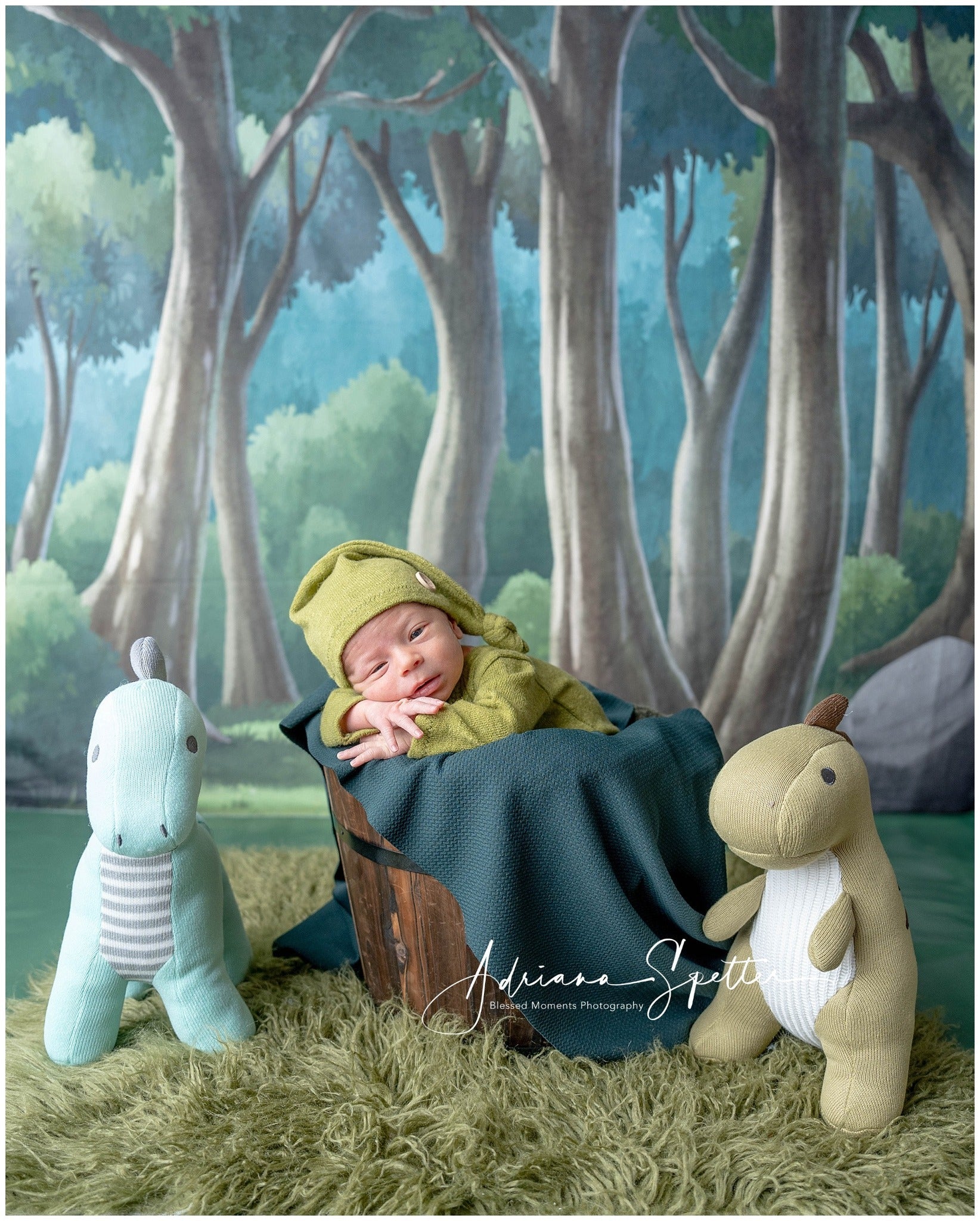 Newborn Backdrop Enchanted Forest Trees Kids Photo Backdrop UK MRR10-24