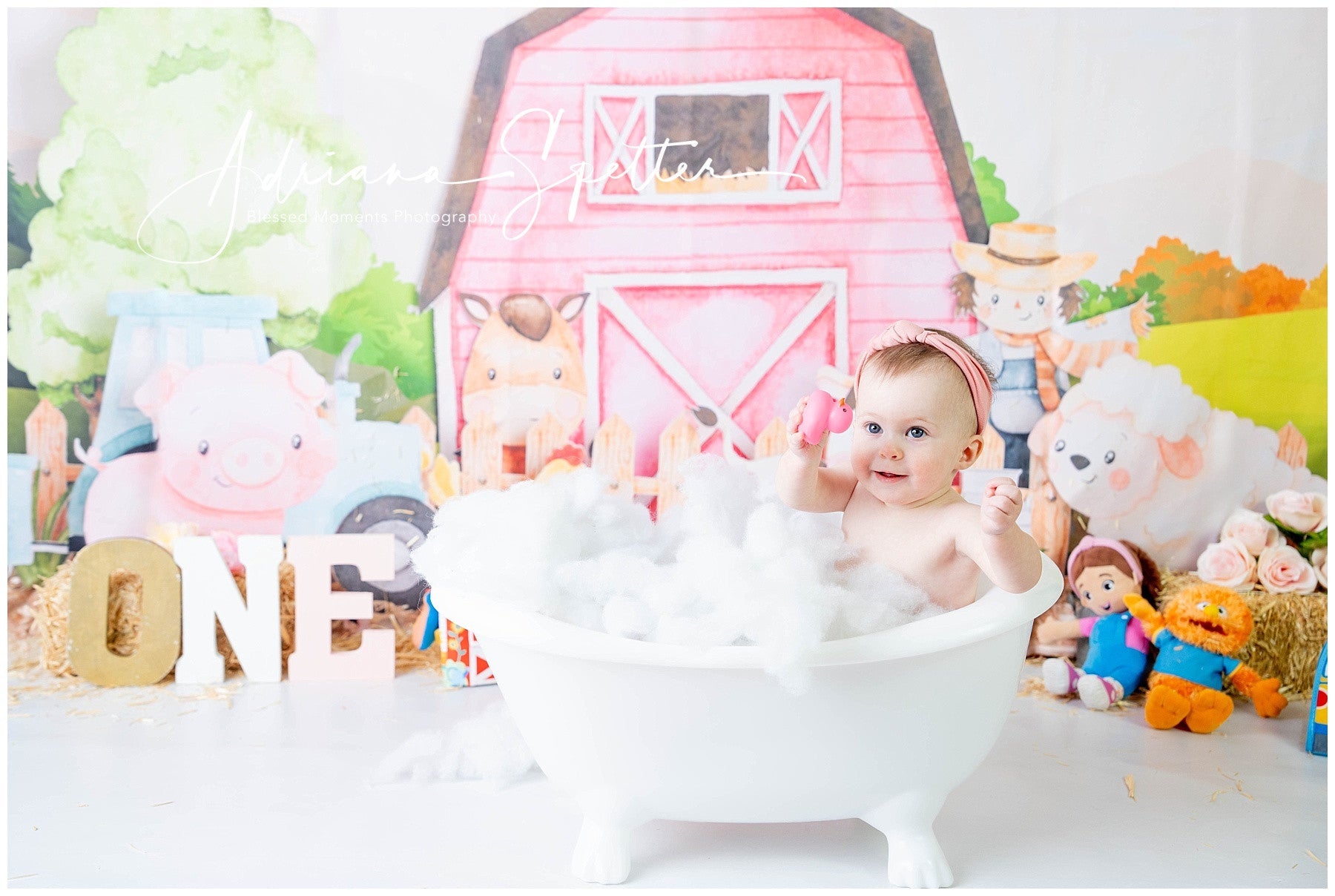 Kids Photo Backdrop Cartoon Farm Animals Barn Newborn Backdrop UK MRR9-125