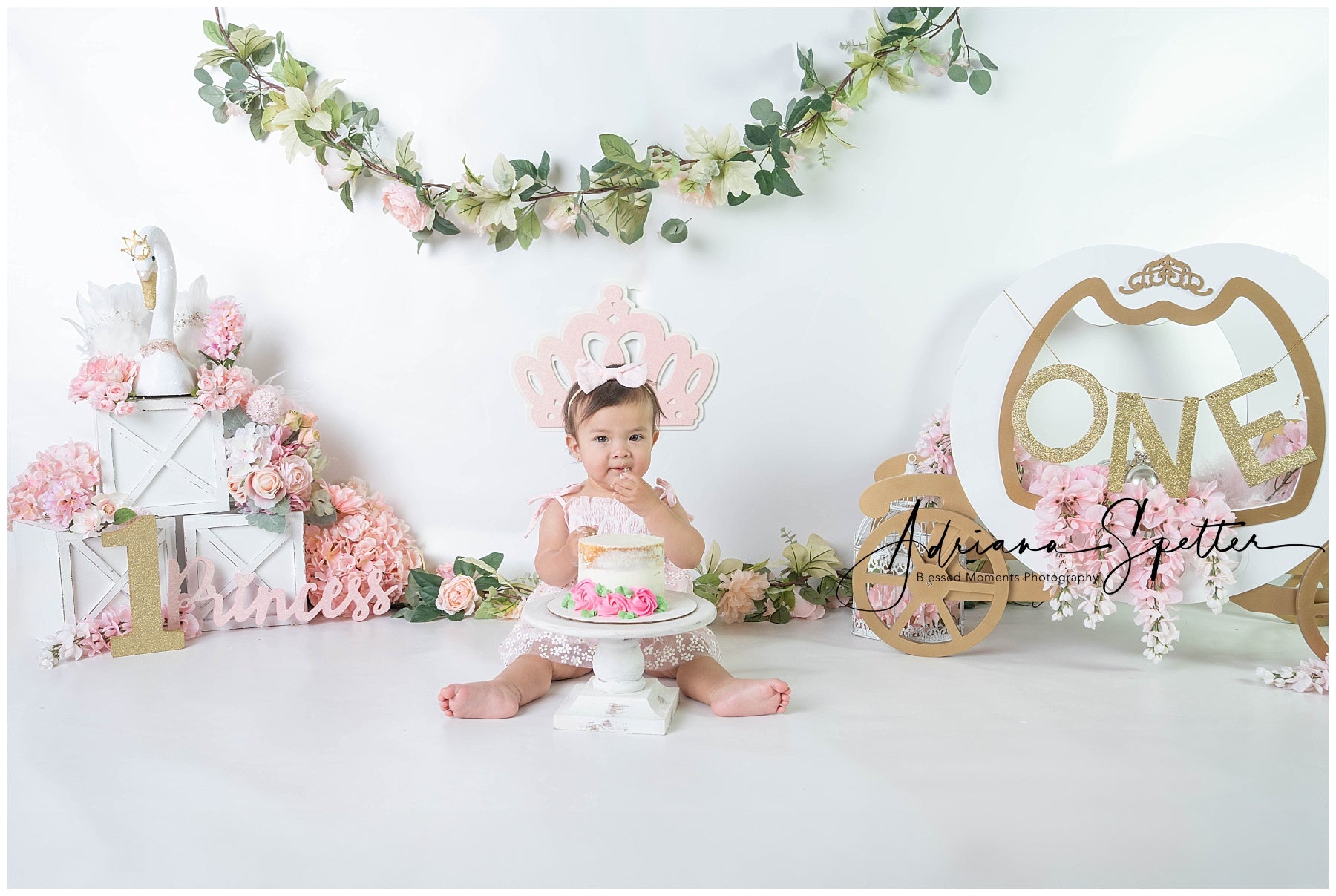 Cake Smash Backdrop Princess Swan Carriage 1st Birthday Backdrop UK MRR9-119