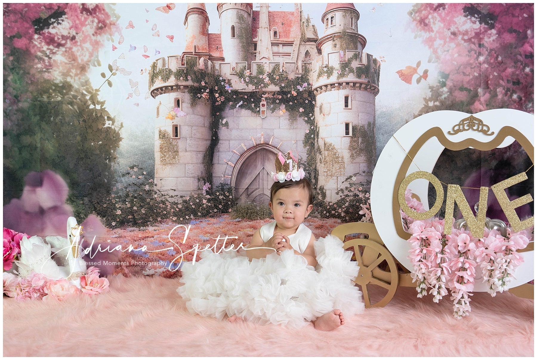 Castle Backdrop Fairy Tale Butterfly Castle Newborn Backdrop UK MRR9-118
