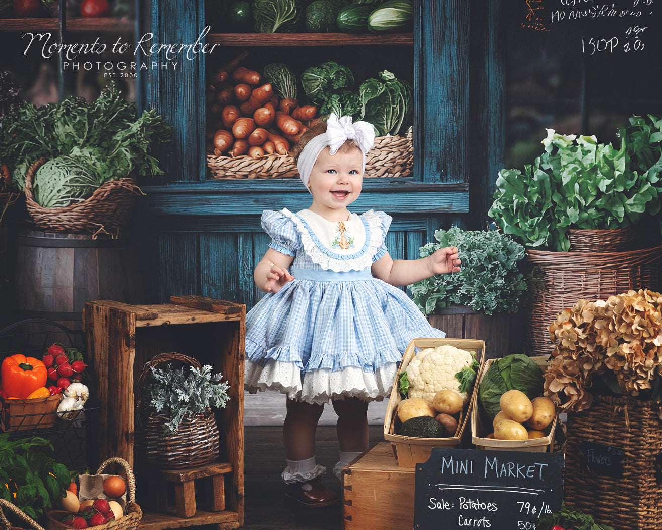 Spring Photography Backdrop Rustic Grocer Farm Window Backdrop UK LXX1-153