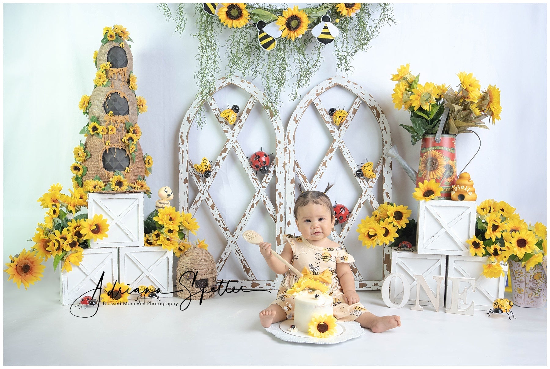 Children Backdrops Rustic Sunflower Garden Newborn Photo Backdrop UK MRR9-112
