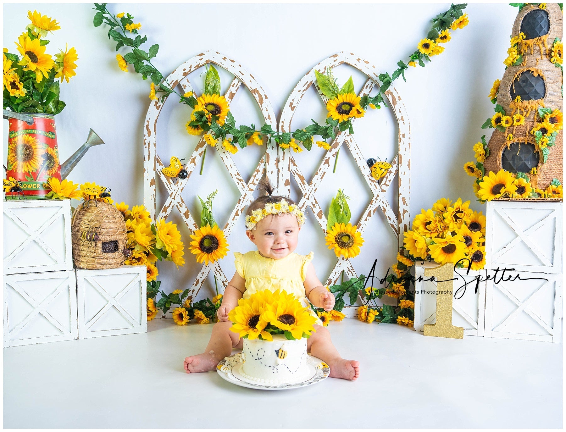 Children Backdrops Rustic Sunflower Garden Newborn Photo Backdrop UK MRR9-112