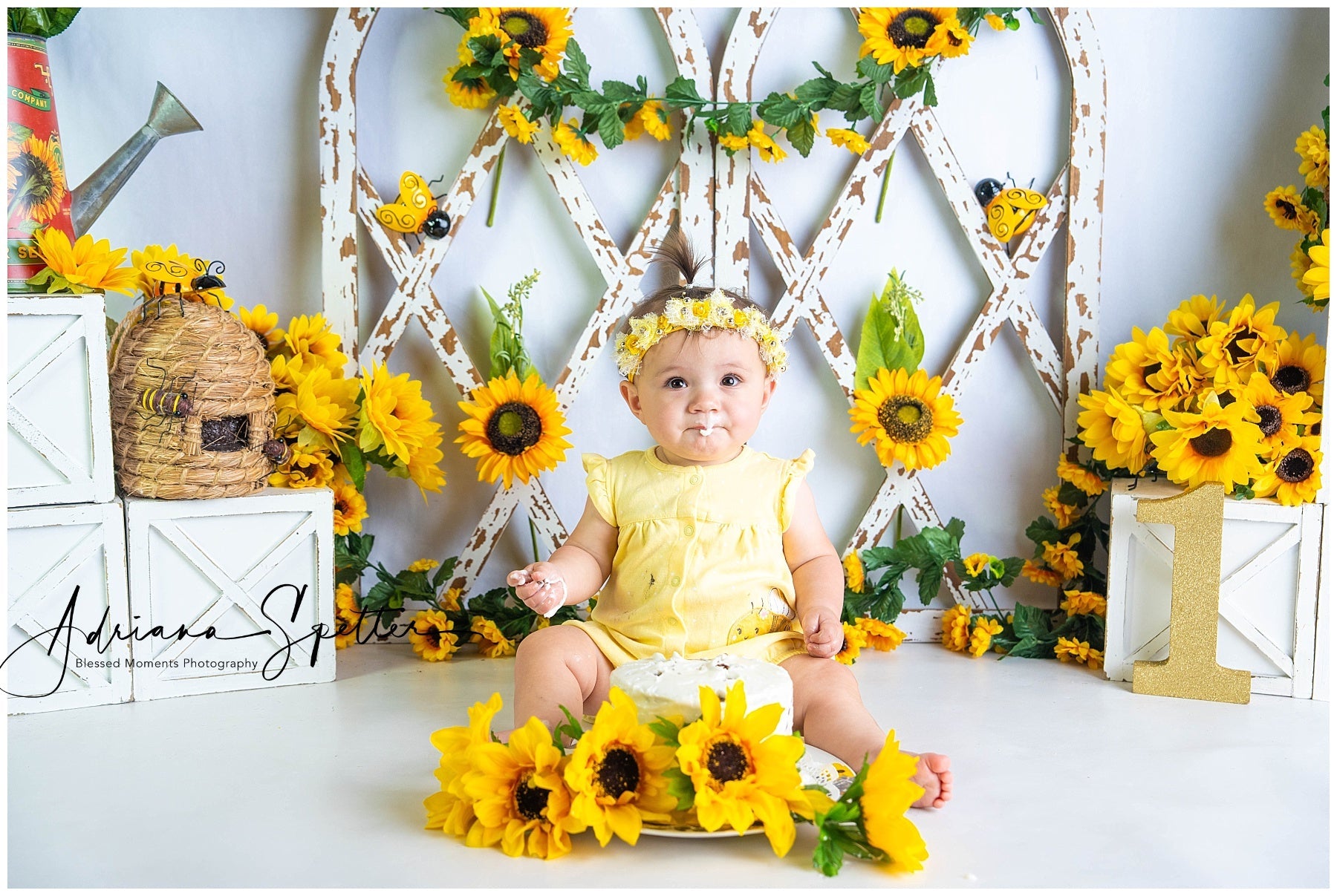 Children Backdrops Rustic Sunflower Garden Newborn Photo Backdrop UK MRR9-112