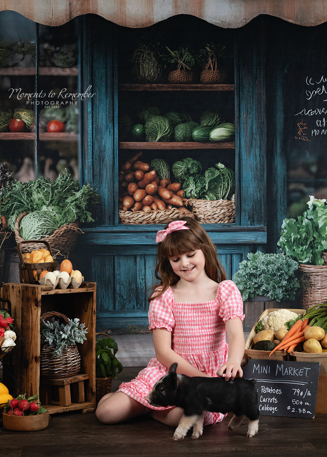 Spring Photography Backdrop Rustic Grocer Farm Window Backdrop UK LXX1-153