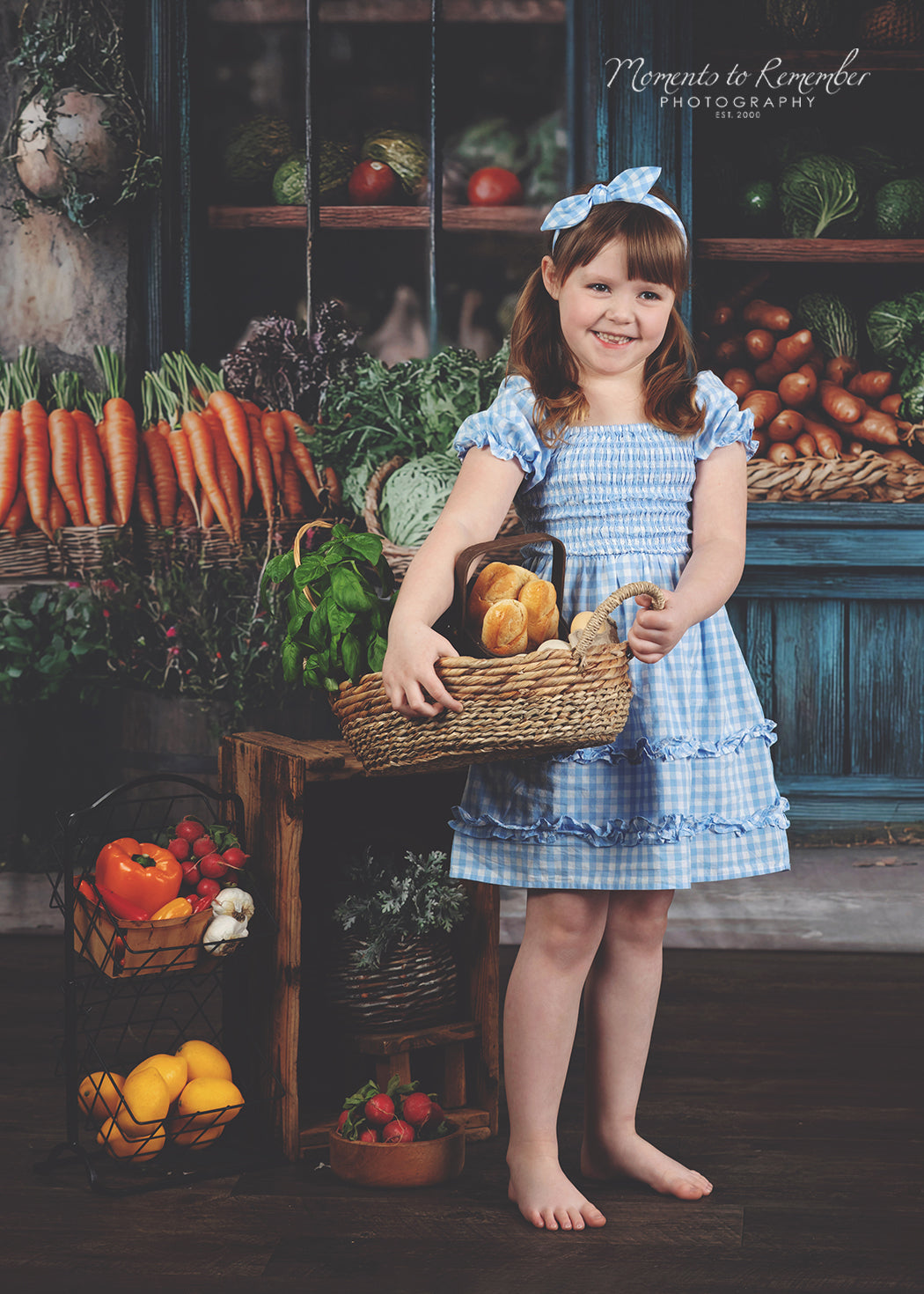 Spring Photography Backdrop Rustic Grocer Farm Window Backdrop UK LXX1-153