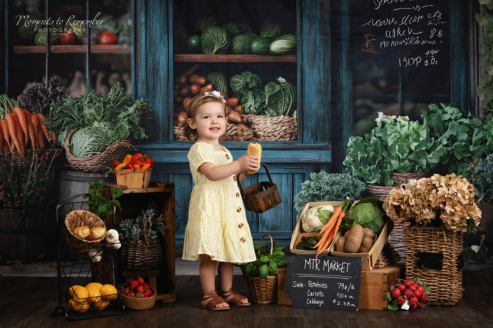 Spring Photography Backdrop Rustic Grocer Farm Window Backdrop UK LXX1-153