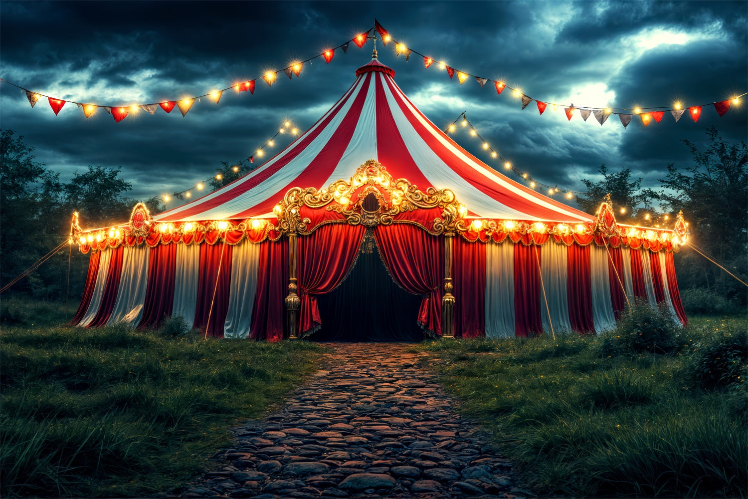 Circus Themed Photo Backdrop Carnival Tent Night Backdrop UK BRP1-181