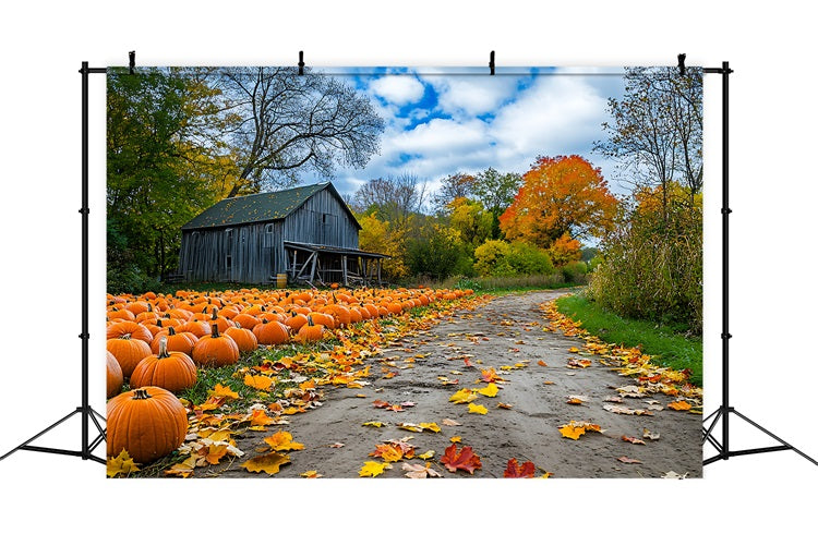 Autumn Background Rustic Farmhouse Pumpkin Patch Backdrop UK BRP10-250