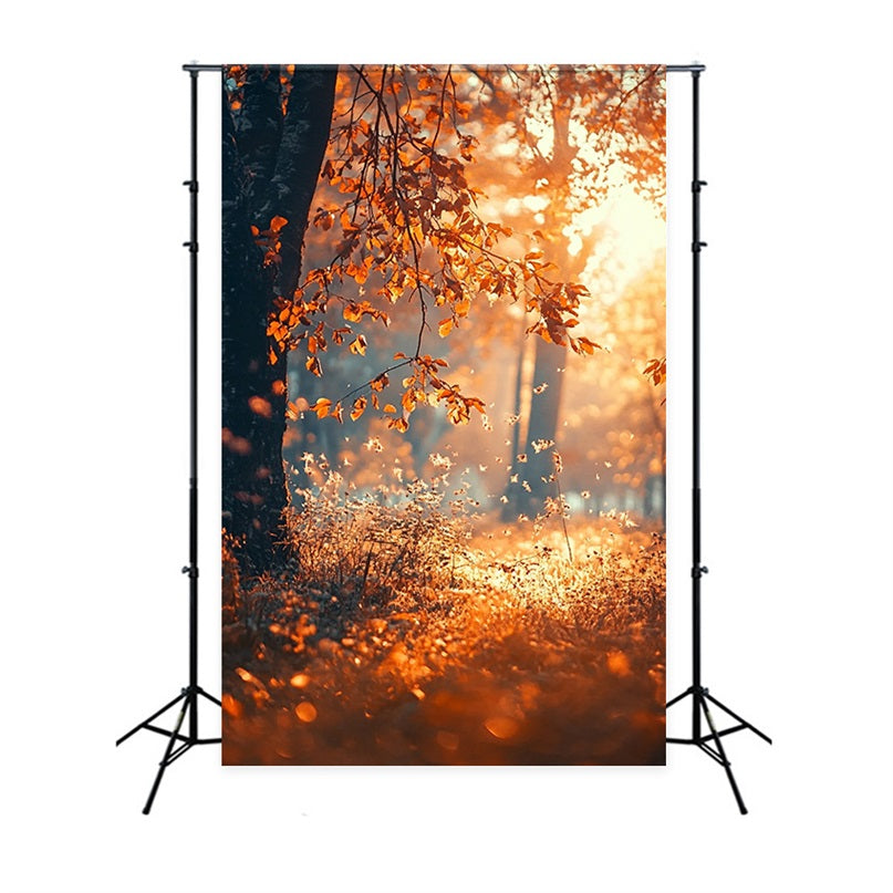 Fall Season Backdrop Sunbeam Trees Photo Backdrop UK BRP10-265