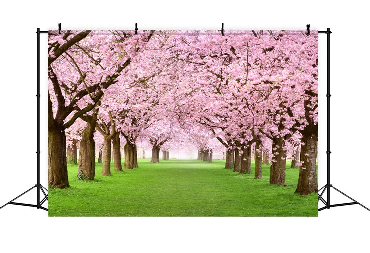 Photography Spring Backdrops Cherry Blossom Pathway Scenic UK Backdrop BRP11-514