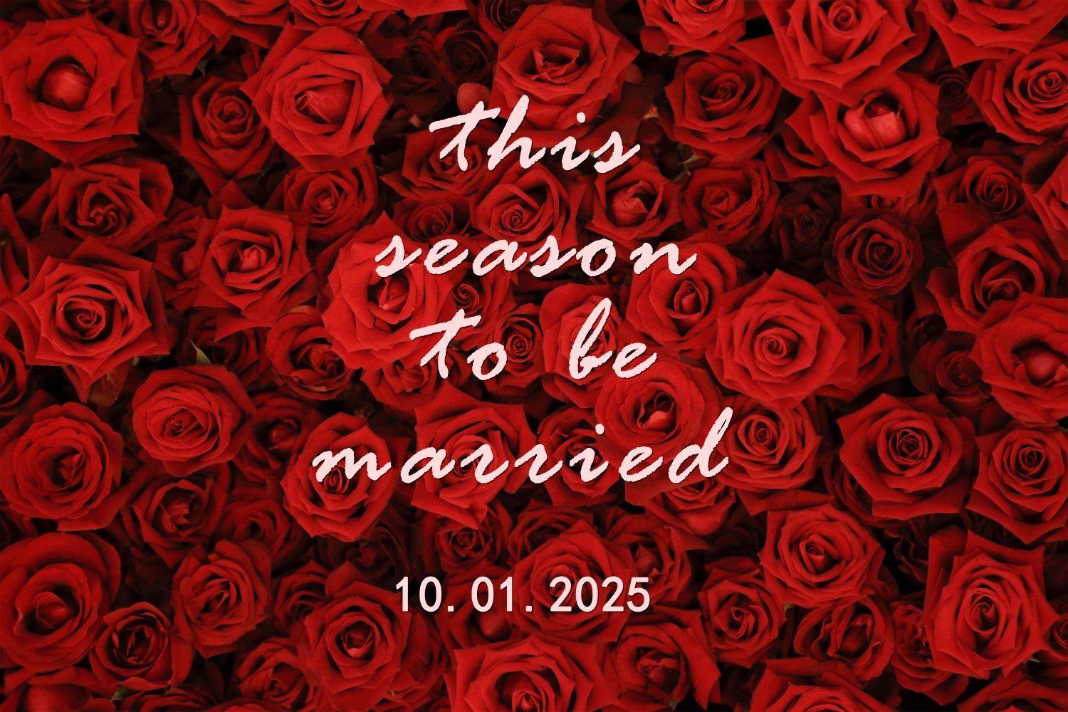 Custom Wedding Backdrop Passionate Red Rose Wall Backdrop UK BRP12-347