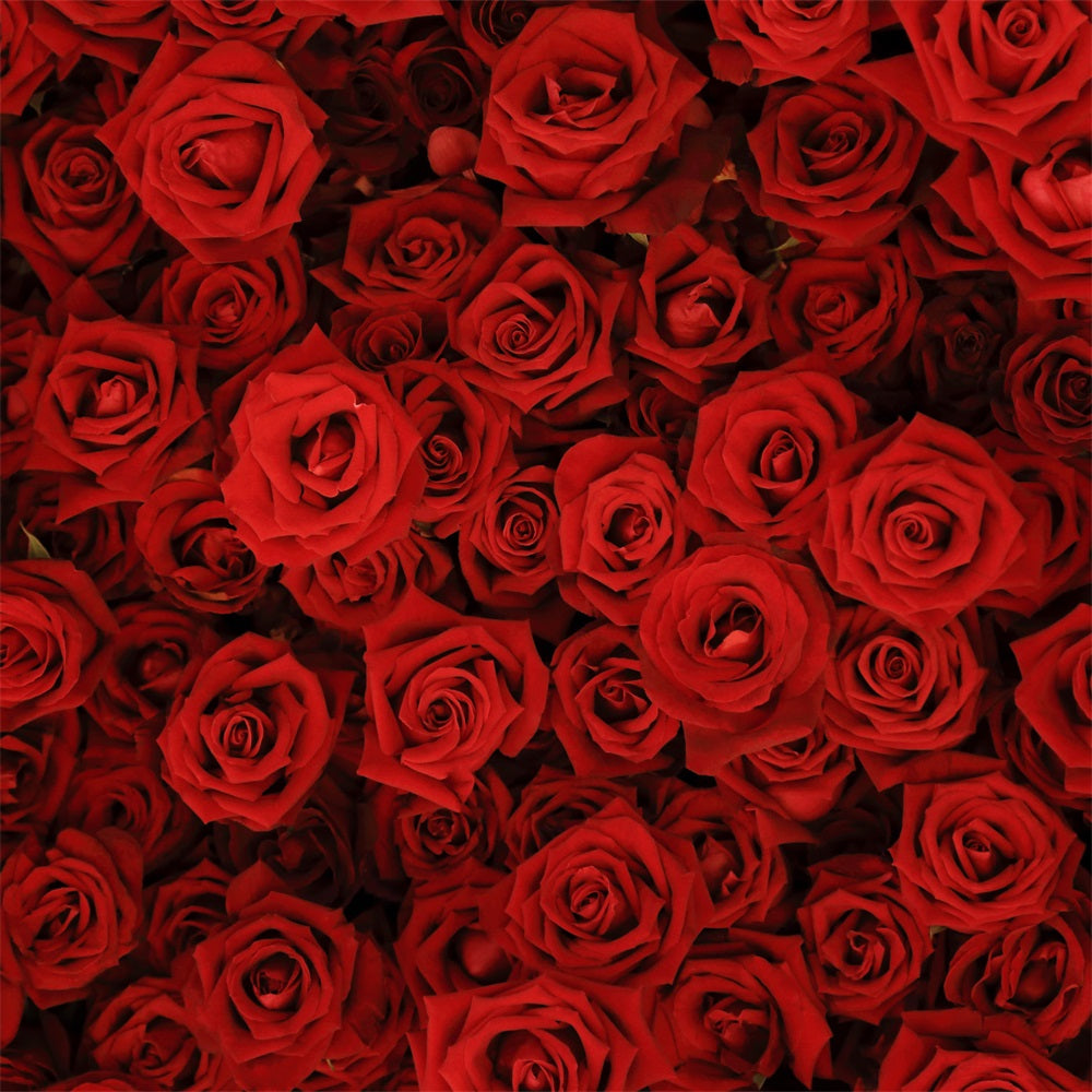 Backdrop Weddings Red Rose Floral Wall Backdrop UK BRP12-384