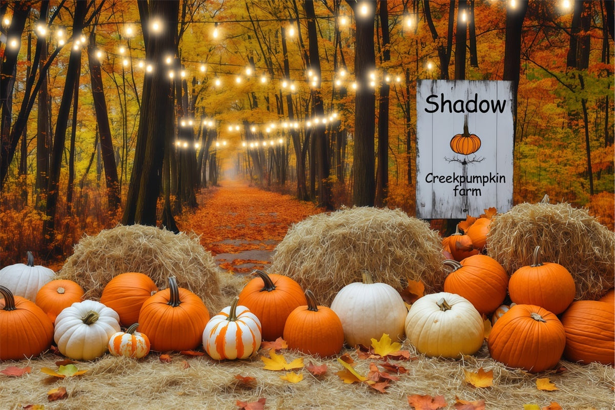 Fall Photo Backdrop Lantern Pumpkin Forest Backdrop UK BRP57-178