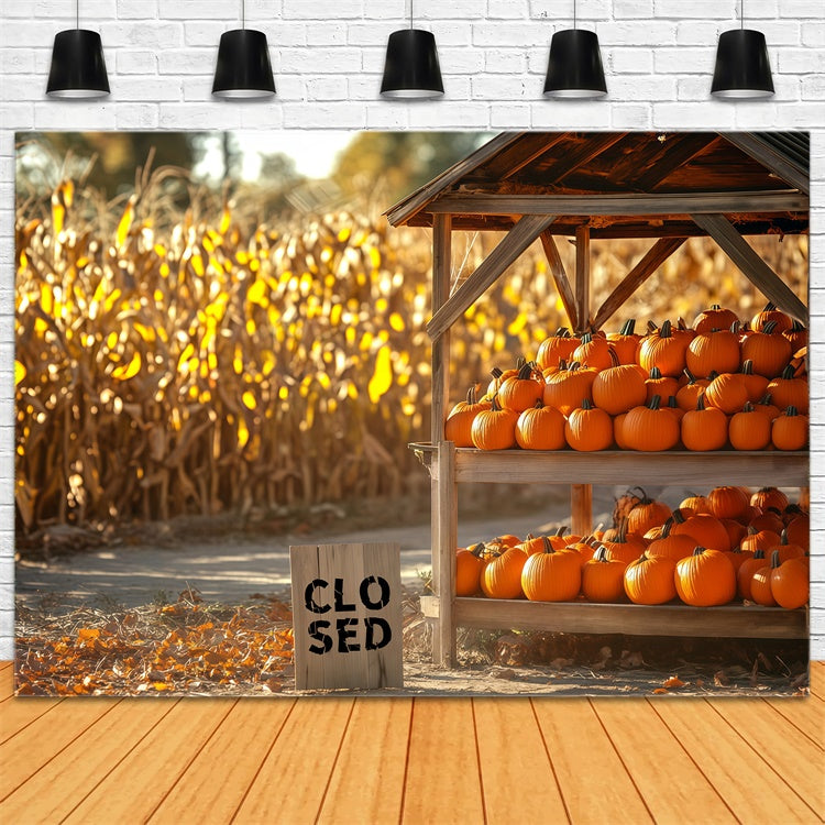 Backdrop For Thanksgiving Cornfield Pumpkin Booth Backdrop UK BRP57-329
