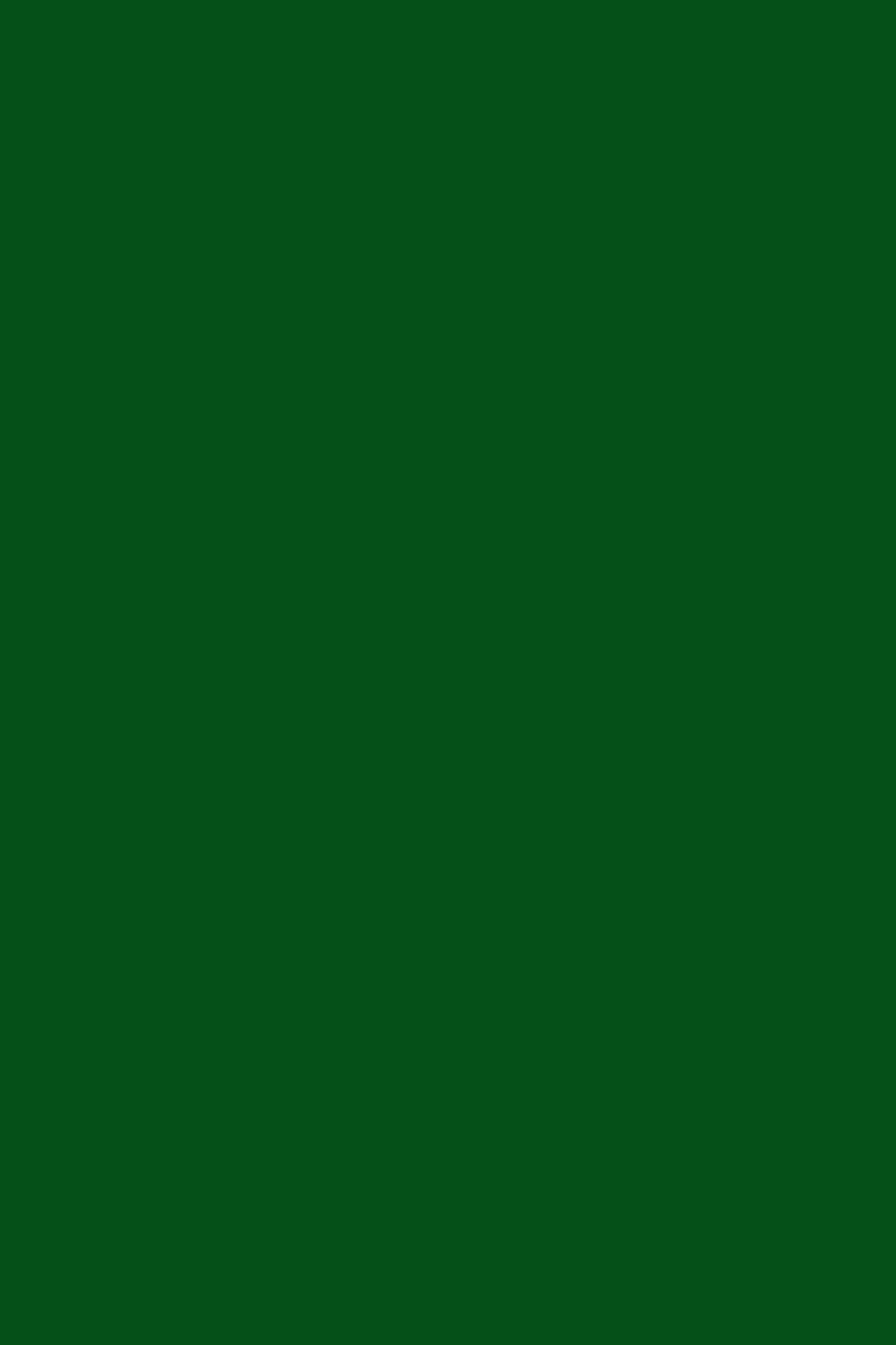 Green Photo Backdrop Enchanted Moss Green Backdrop UK CSH4-157