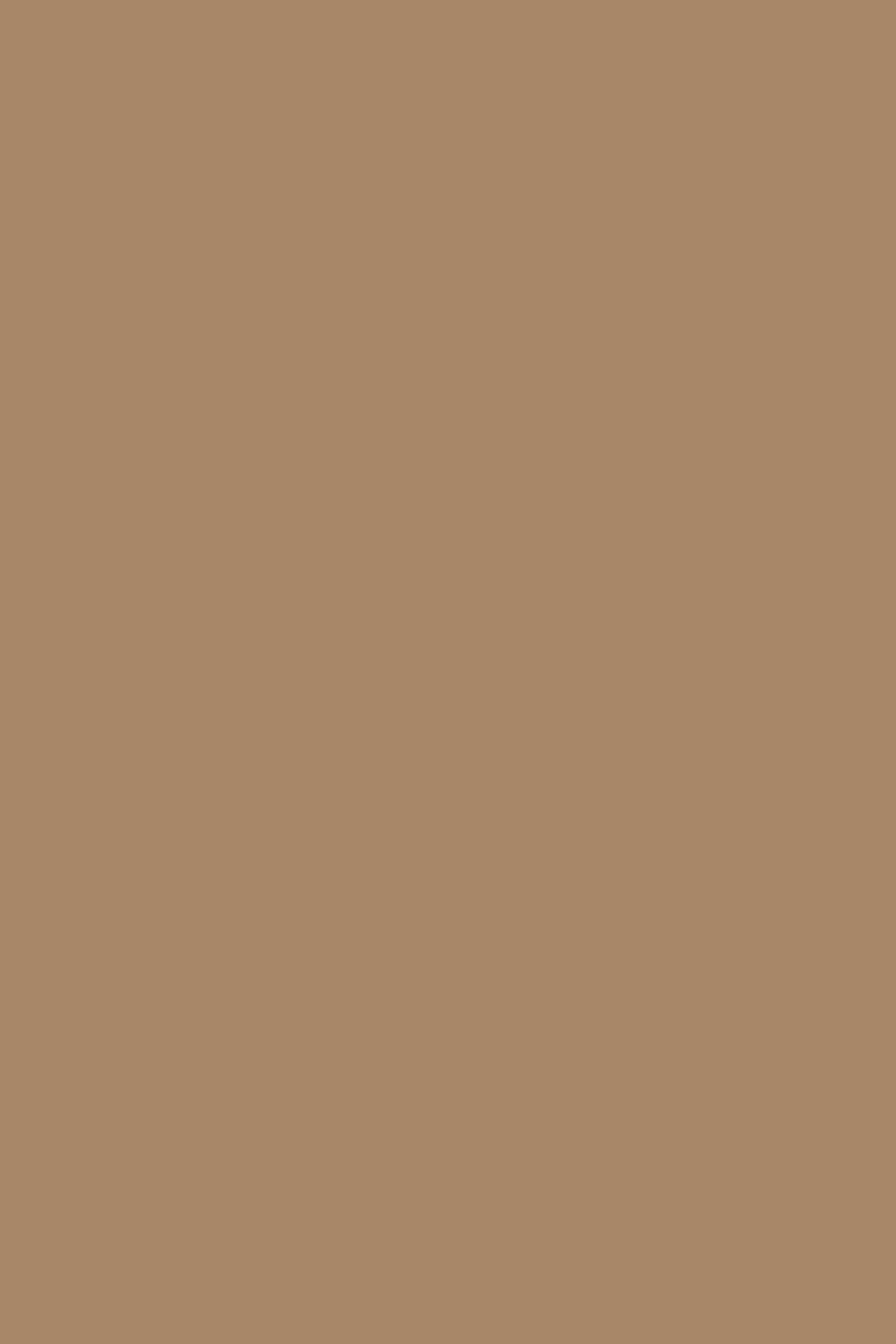 Backdrop Solid Color Warm Butterscotch Glow Backdrop UK CSH4-166