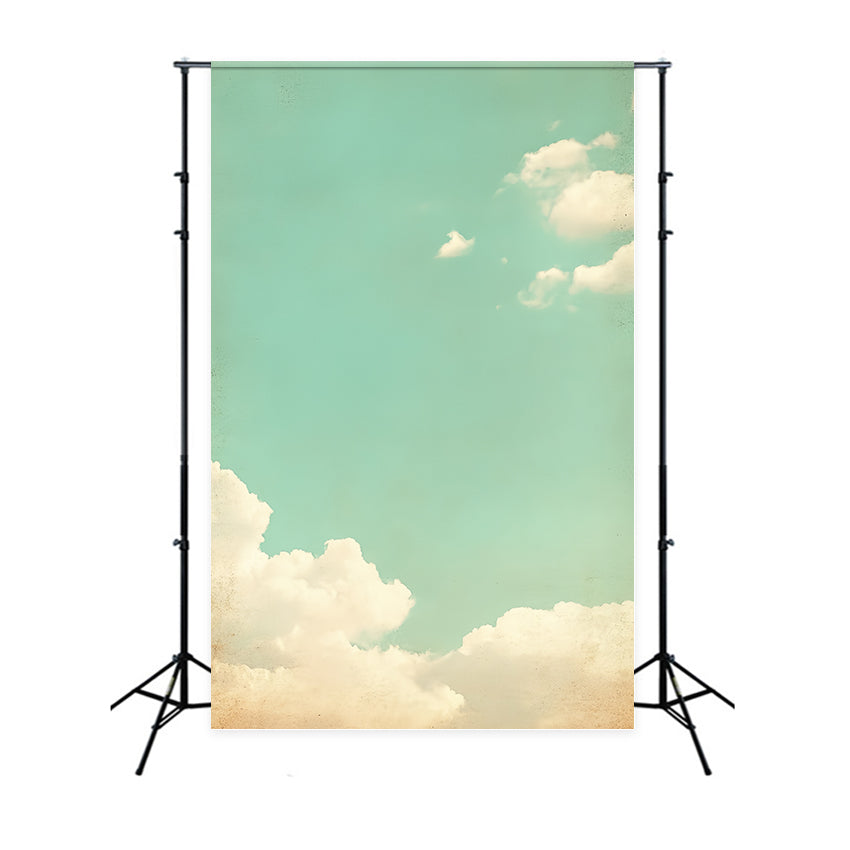 Backdrops For Portraits Retro Sky Puffy Clouds Backdrop UK CSH4-188