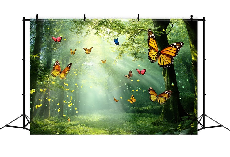 Butterfly Backdrops Golden Light Forest Summer Backdrop UK CSH5-72