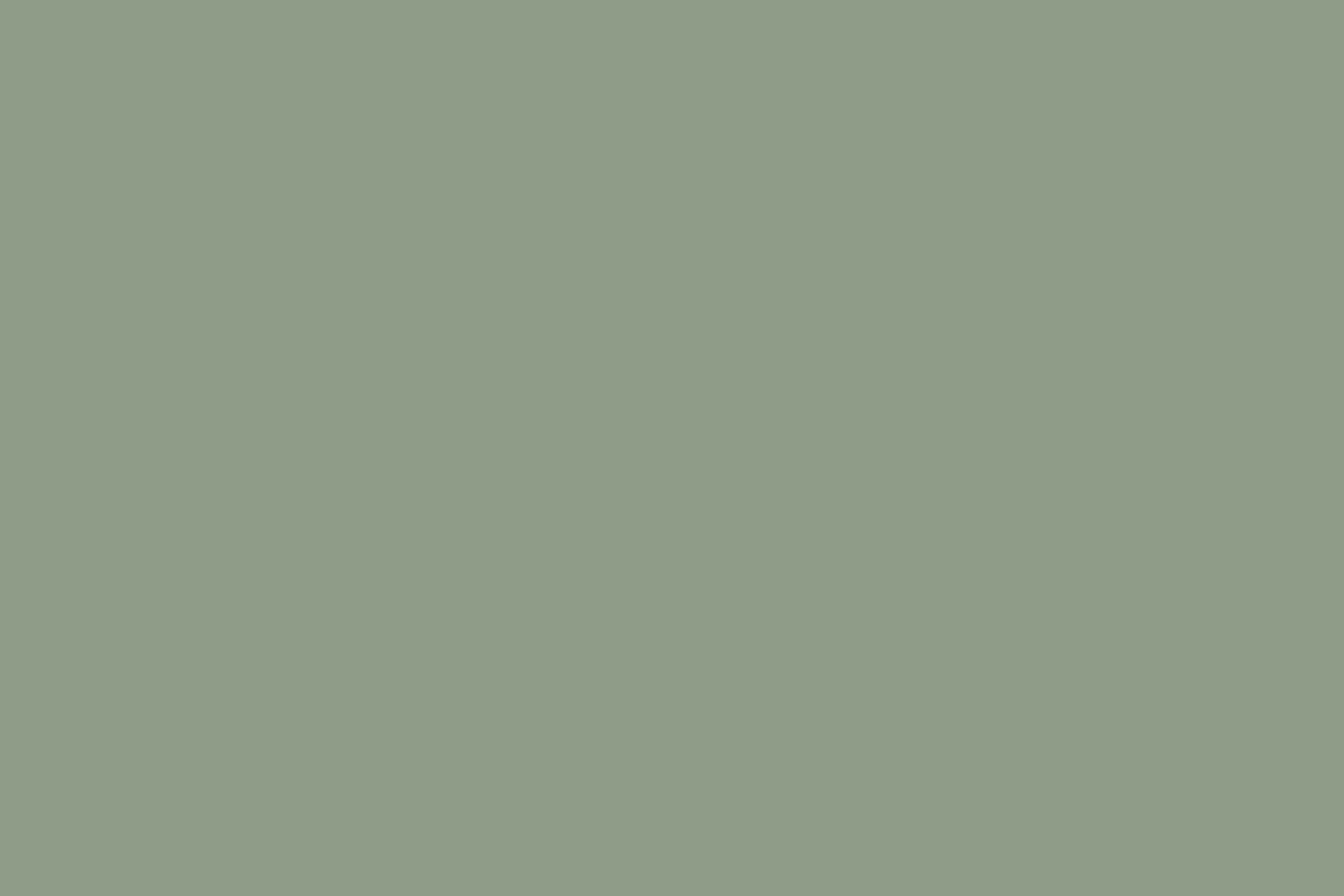 Green Photo Backdrop Dusty Olive Haze Backdrop UK CSH57-326