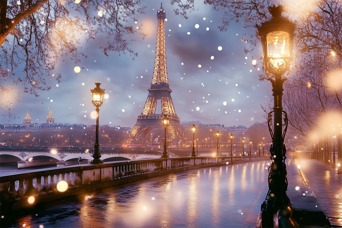 Eiffel Tower Backdrop Champs Elysées Bridge After Dreamy Rain Night Paris Backdrop Ideas UK CSH58-15