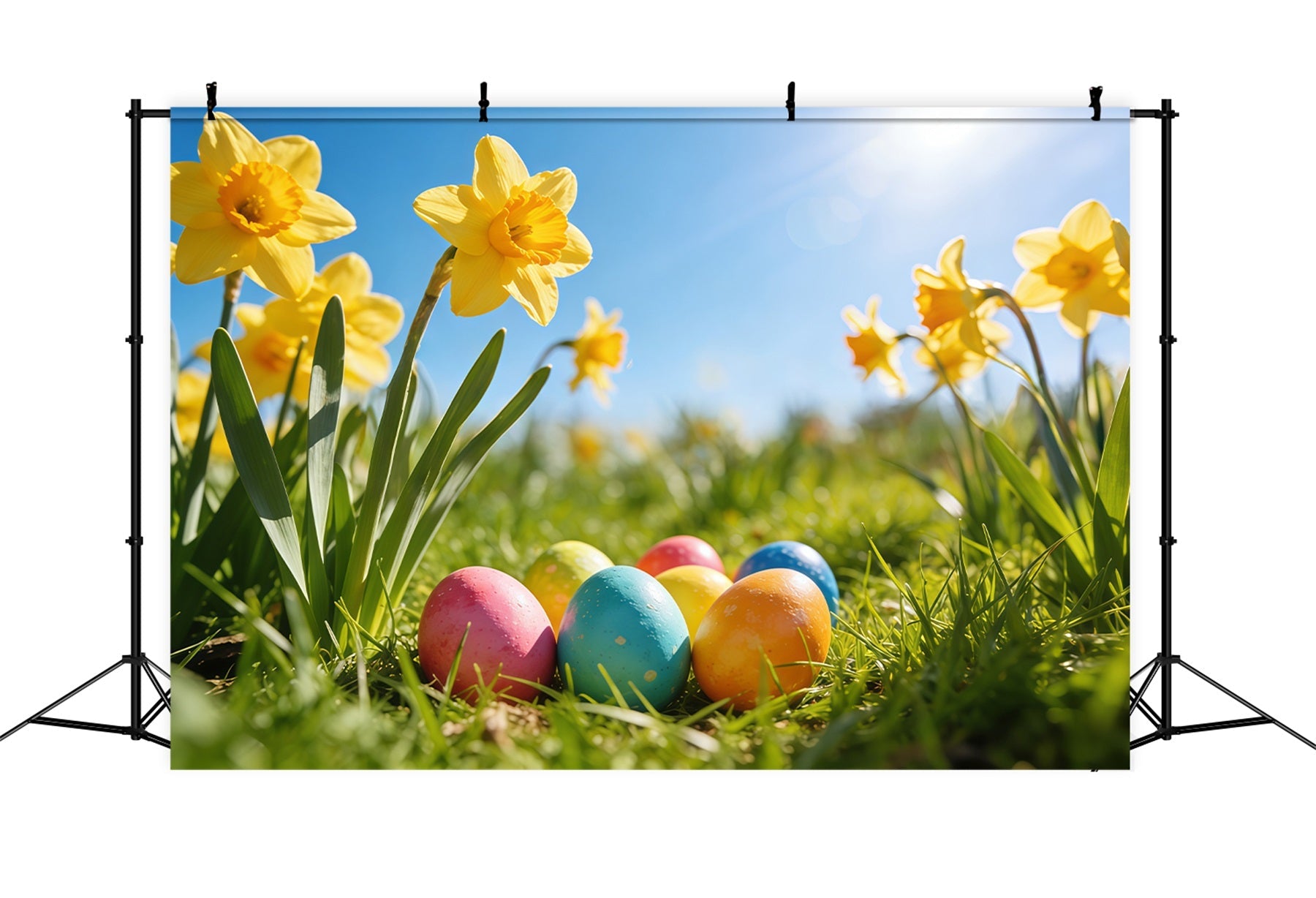 Easter Daffodil Backdrop Sunlight Meadow Painted Eggs Easter Backdrop For Photography UK CSH61-67