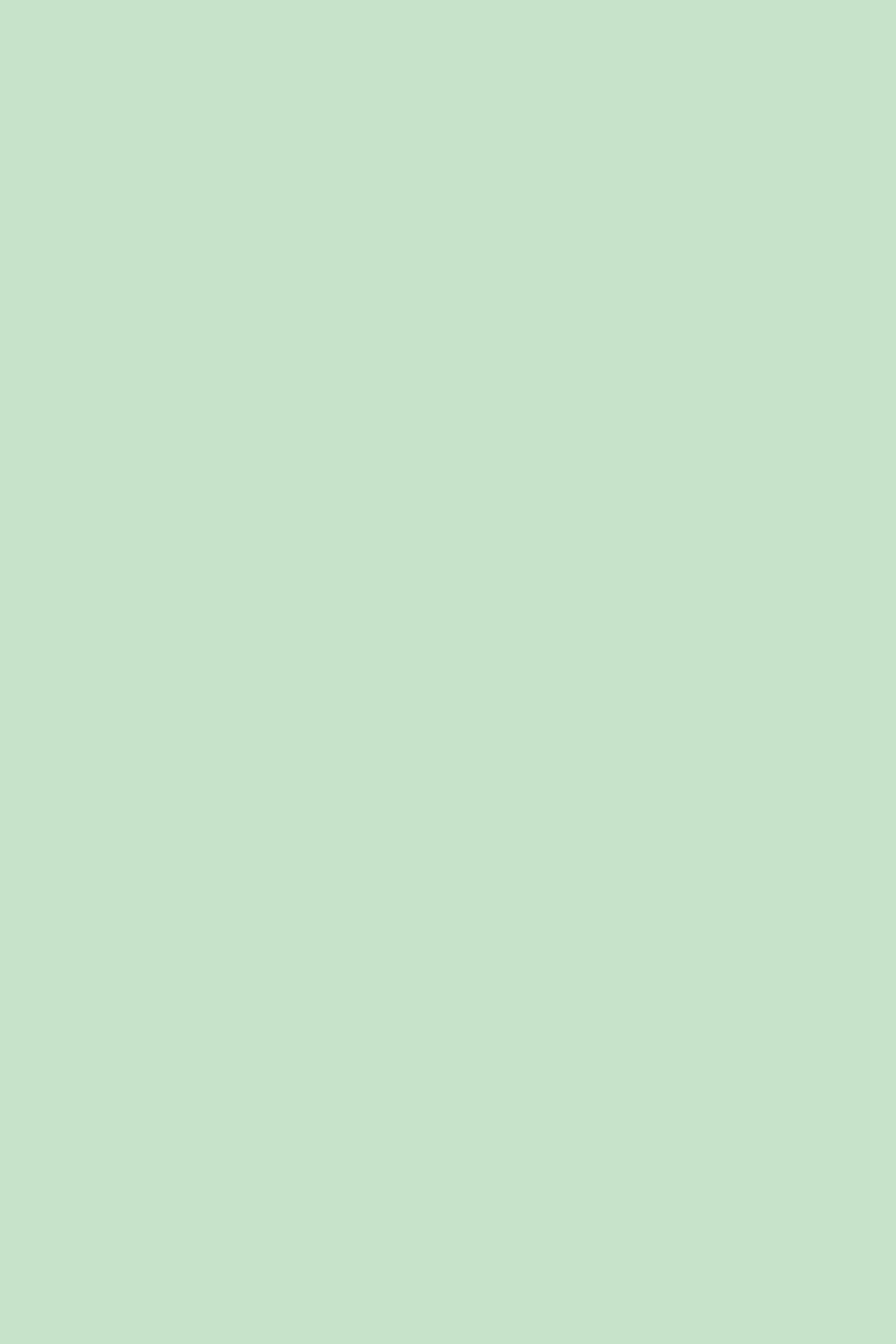 Green Photo Backdrop Soft Mint Green Gentle Hue Backdrop Solid Color UK CSH62-10